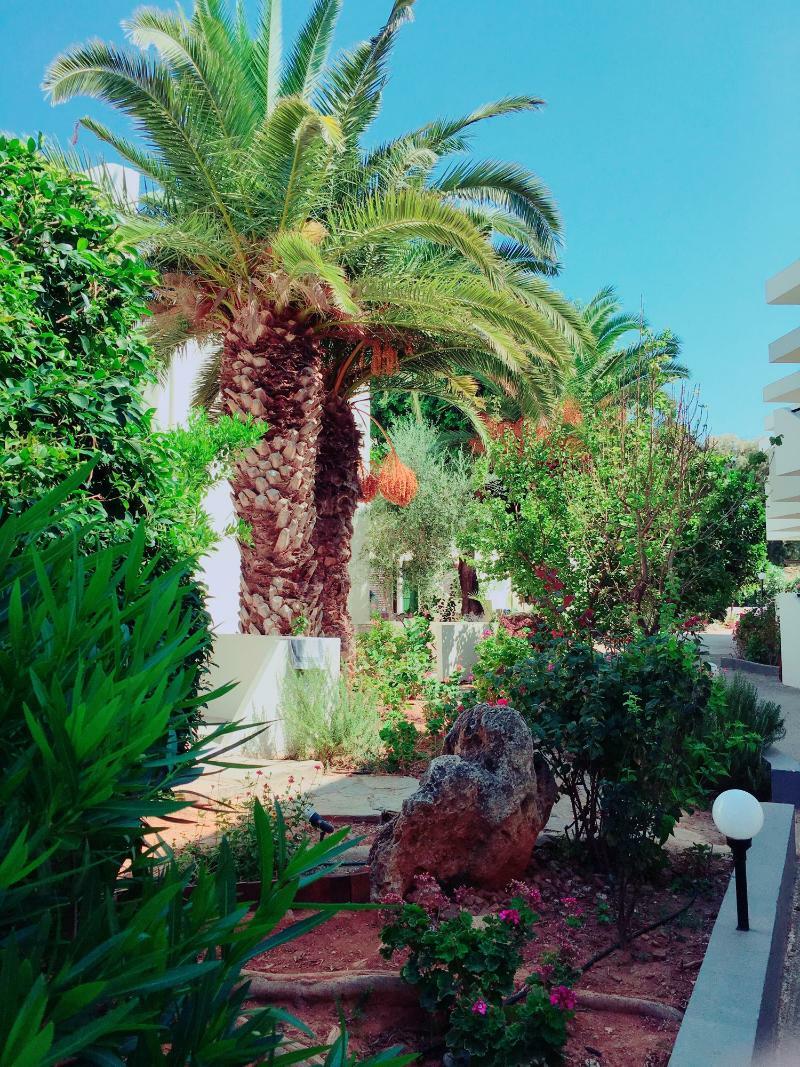 Hotel Amnissos Pigianos Kampos  Exterior foto